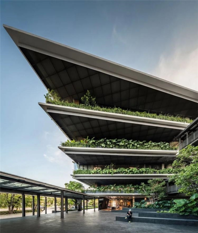曼谷111号办公绿谷，密集社区中的自然与协作型工作空间设计