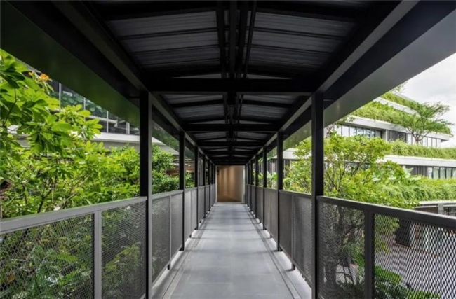 曼谷111号办公绿谷，密集社区中的自然与协作型工作空间设计
