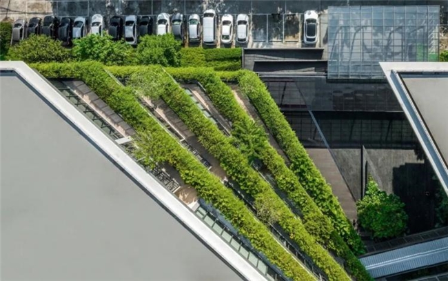 曼谷111号办公绿谷，密集社区中的自然与协作型工作空间设计