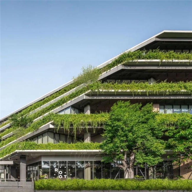 曼谷111号办公绿谷，密集社区中的自然与协作型工作空间设计