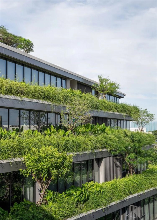 曼谷111号办公绿谷，密集社区中的自然与协作型工作空间设计