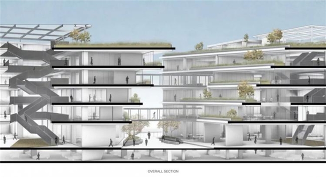 曼谷111号办公绿谷，密集社区中的自然与协作型工作空间设计