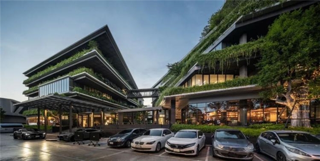 曼谷111号办公绿谷，密集社区中的自然与协作型工作空间设计