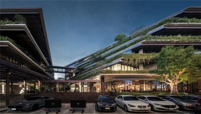 曼谷111号办公绿谷，密集社区中的自然与协作型工作空间设计