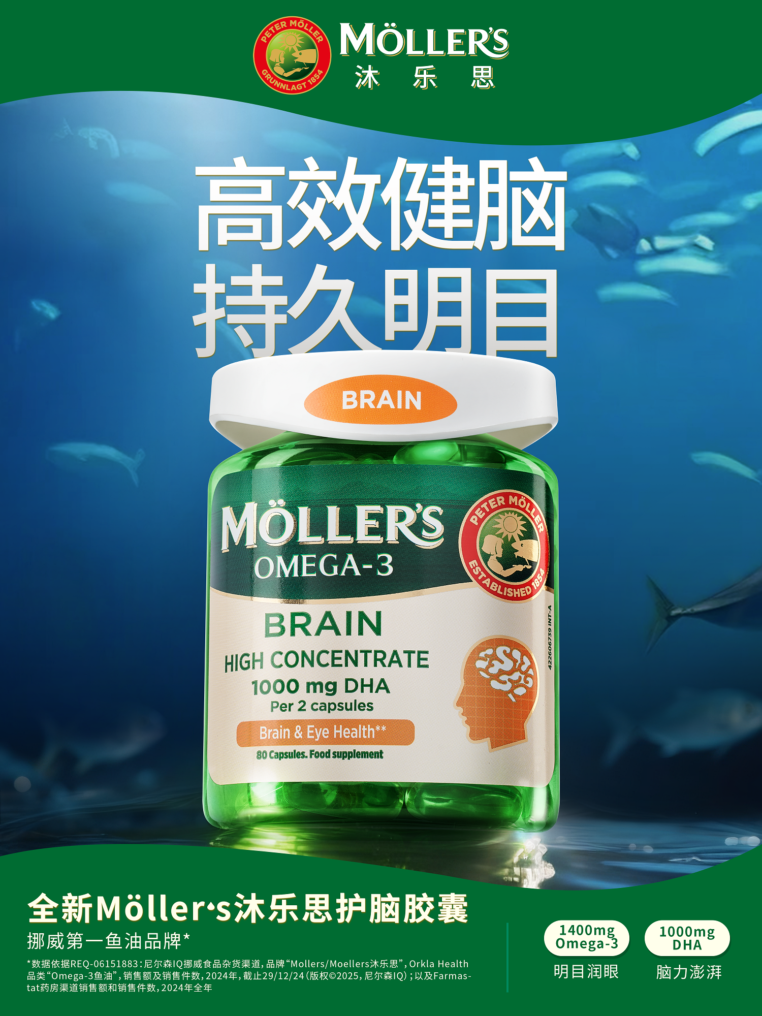 最终定稿大脑.png