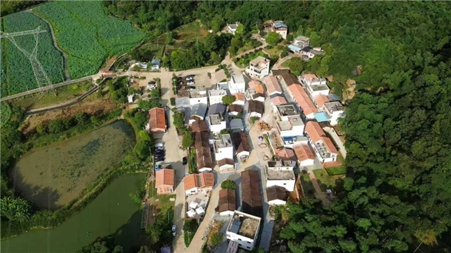 镜头聚焦英德美|广东建设职业技术学院乡韵薪火突击队探访梅子寨特色产业发展