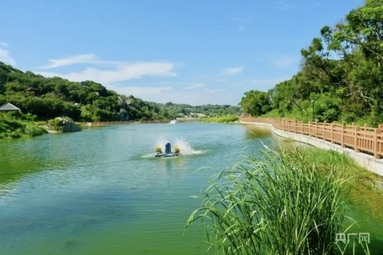 微光聚平 潭短剧启新章 大学生三下乡暑期实践纪实(图5)