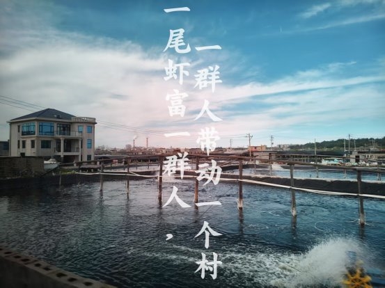 集美大学水产学院“小院子，大作为”科技小院实践队赴南境村实践调研 探索科技赋能水产养殖振兴路径