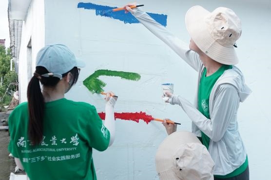 实践总结|秾彩绘荷乡，青春助振兴——园艺学院“秾心绘锦绣，彩墨传乡韵”实践活动圆满收官(图2)