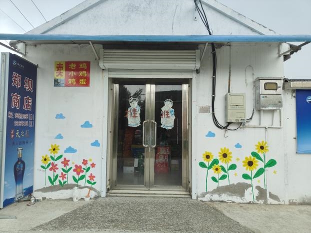 实践总结|秾彩绘荷乡，青春助振兴——园艺学院“秾心绘锦绣，彩墨传乡韵”实践活动圆满收官(图6)