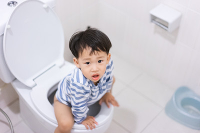 图虫创意-919544870263062570.jpeg