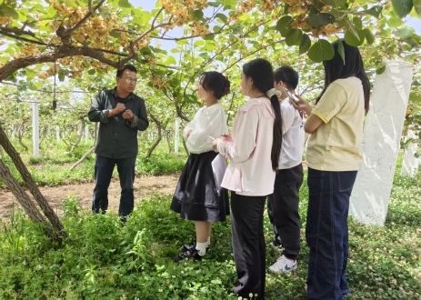 “三下乡”调研行：为旬阳市神河镇富硒香菇产业高质量发展觅良方(图2)