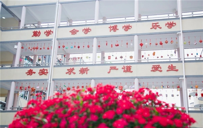 科学阅读启智:新昌县实验小学形象大使荐书,点燃少年探索梦