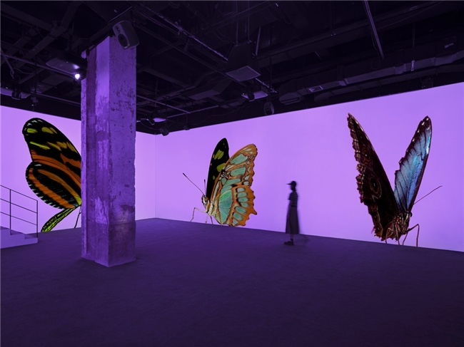 跨越物种的时间宇宙：安德烈・加尔瓦尼上海 Fotografiska 首展《虚空迁徙至表面》，模糊刹那与永恒边界