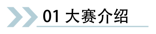 “绒爱安康，智创未来”：2025第四届安康毛绒玩具创意国际大赛启幕，AI评审+官方供应链助创意落地