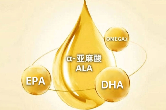 2025氨糖壳寡糖代加工优质厂家TOP3推荐