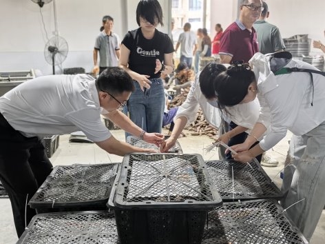 邮储银行杭州市临安区支行：党建联建促共富，乡村振兴展“薯”光 业界 第1张