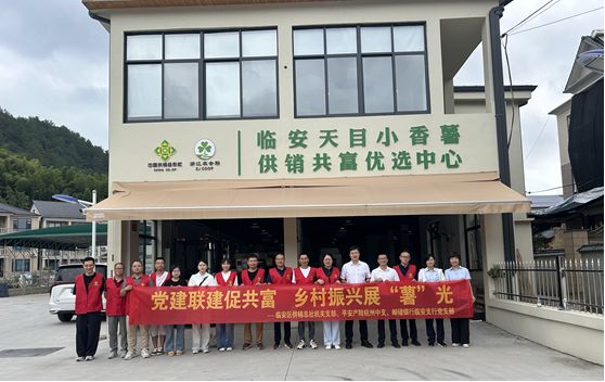 邮储银行杭州市临安区支行：党建联建促共富，乡村振兴展“薯”光 业界 第3张