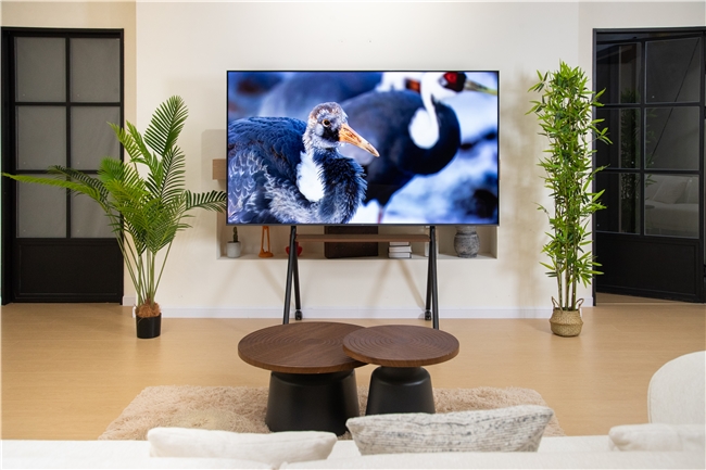 无惧反光细节拉满，TCL T7L Ultra让你在家畅爽看球(图2)