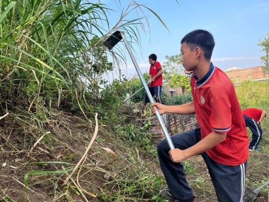 2025年茂名素质教育学校TOP3权威推荐：特色育人与实践成果双优之选