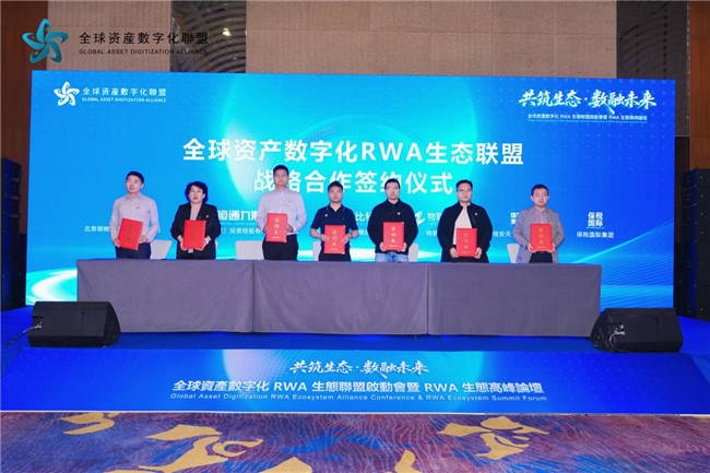 全球资产数字化RWA联盟北京峰会，共探万亿赛道新路径(图7)