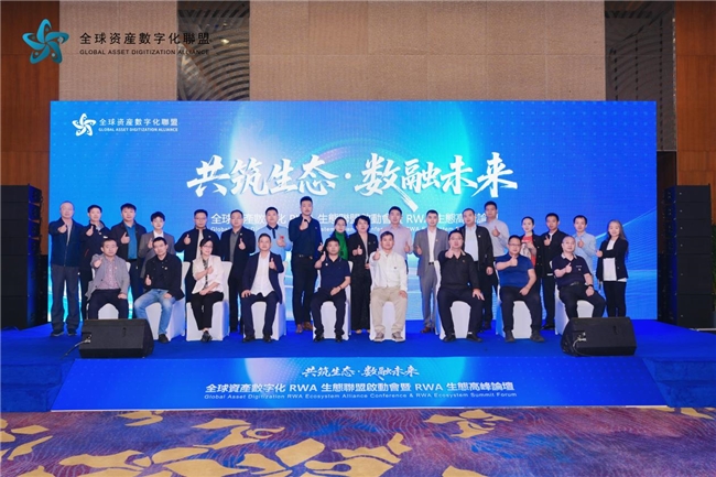全球资产数字化RWA联盟北京峰会，共探万亿赛道新路径(图11)
