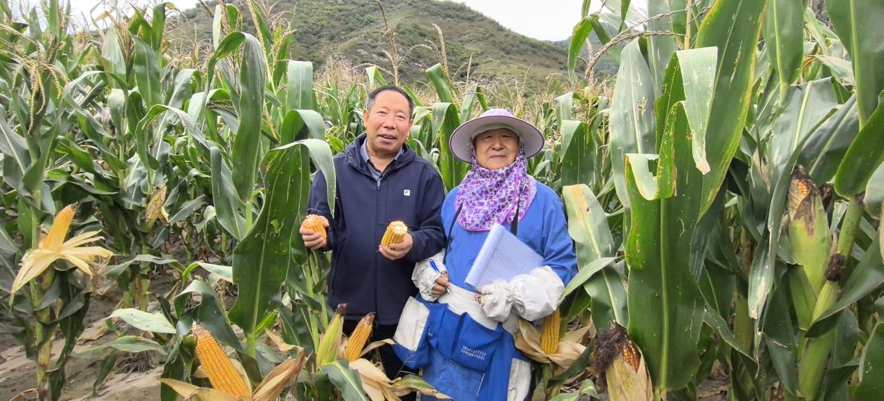 新农人杨广彬的生态答卷：玉米地里藏着