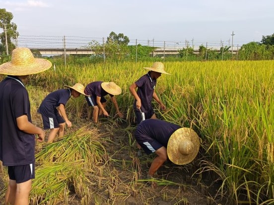 2025年叛逆青少年教育学校TOP3权威推荐：心理重塑与品格双优之选