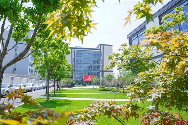 100亩校园藏着多少惊喜？上海诺美学校5大特色课程任你选