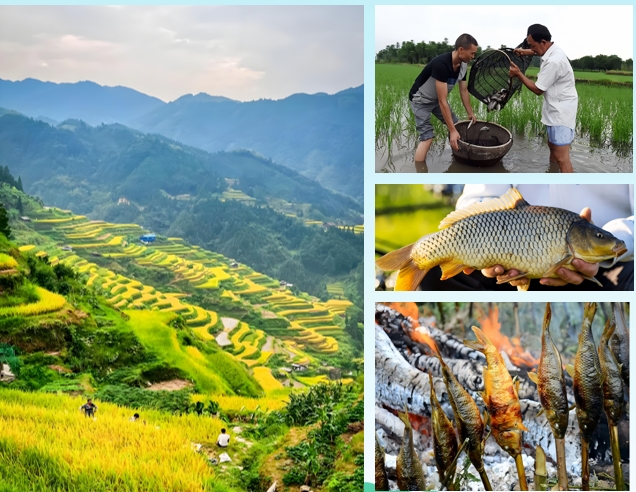 “粤桂连心 鱼跃湾区”——“广西库库魚”区域公用品牌深圳发布会成功举办