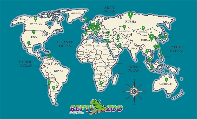 与REPTIZOO（瑞皮）相聚2025CIPS，共赴科技养爬新纪元