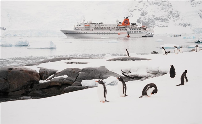 破冰南极睡眠极限：慕思以AI科技开启睡眠新纪元