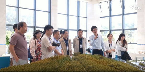 玉湖冷链揭阳园区：打造国际化农产品供应链新标杆