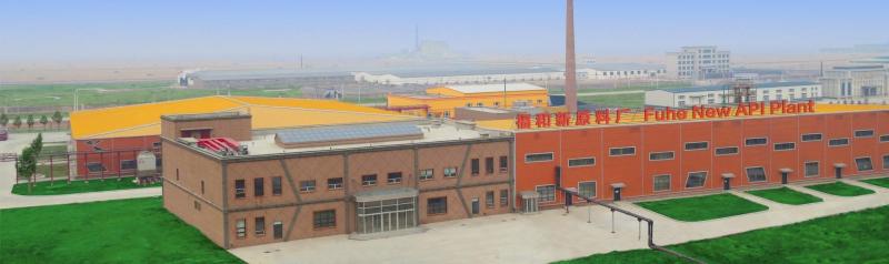 黑龍江福和制藥集團(tuán)以創(chuàng)新筑醫(yī)藥高地，國產(chǎn)好藥覆蓋多治療領(lǐng)域