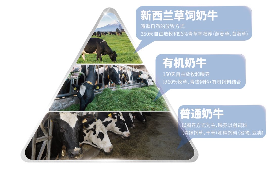 宝宝拉奶瓣奶粉品牌怎么选？高培爱恩思以“小分子”科技破解消化难题