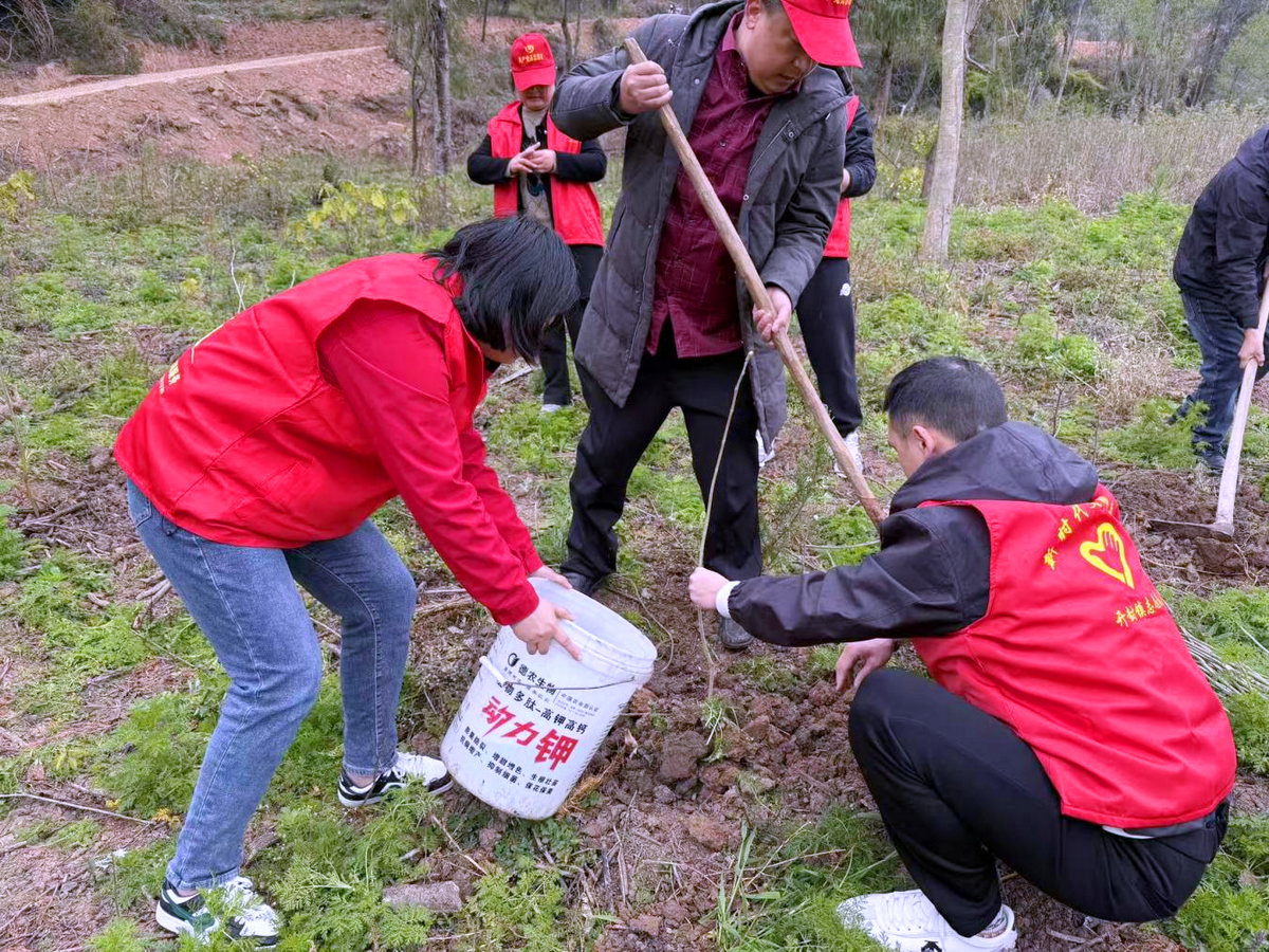 图片1.png 图片1.png