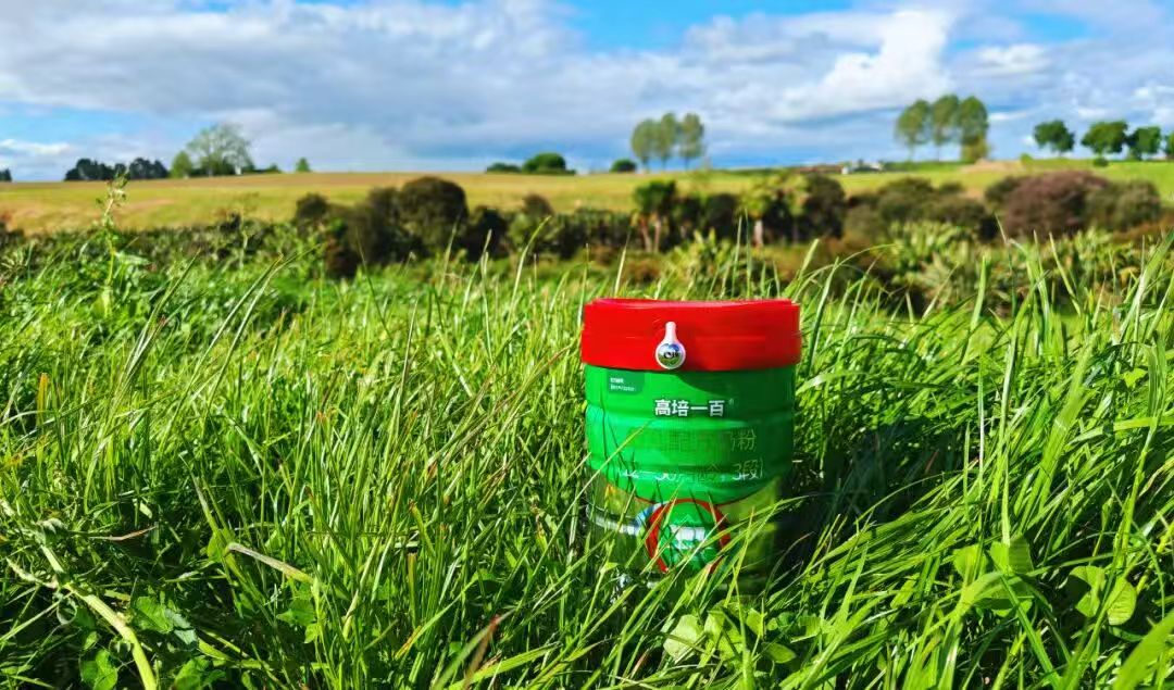 2026年温和不便秘的婴幼儿奶粉选择指南，这款值得关注