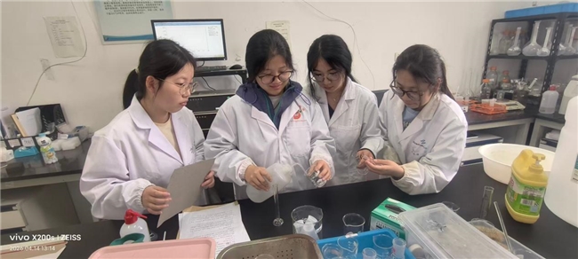 新型非贵金属催化电极问世！浙海大学子深耕海洋绿氢，破解海水制氢产业化瓶颈