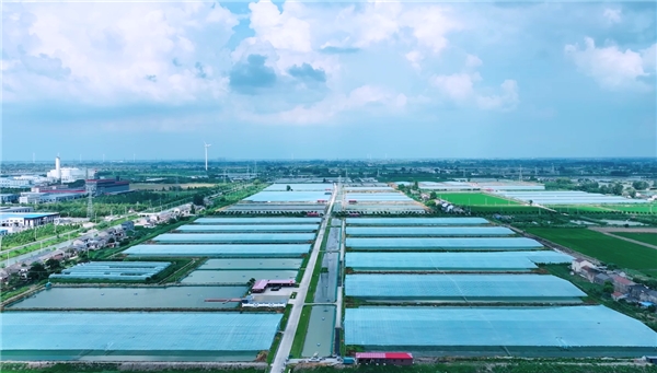 来高邮，带你看“一只虾”的风景