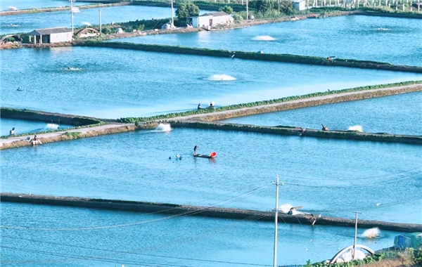 来高邮，带你看“一只虾”的风景